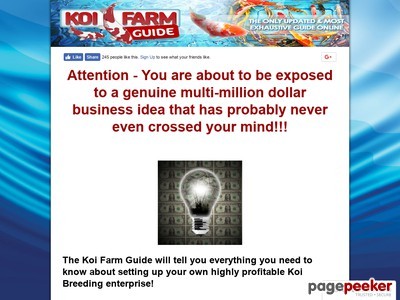 Koi Farm Guide