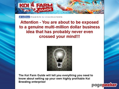 Koi Farm Guide