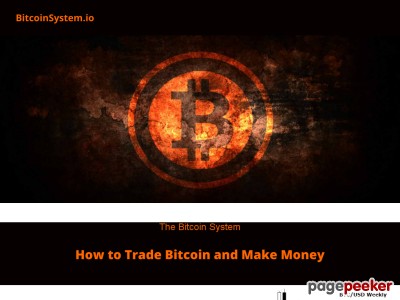 The Bitcoin System