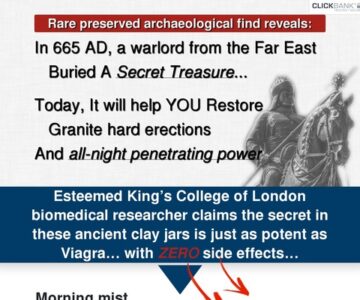 Warrior's Secret